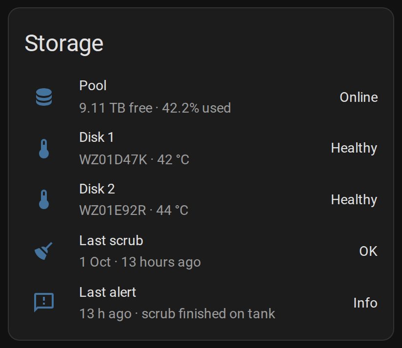 The Storage card: pool online, both disks healthy.